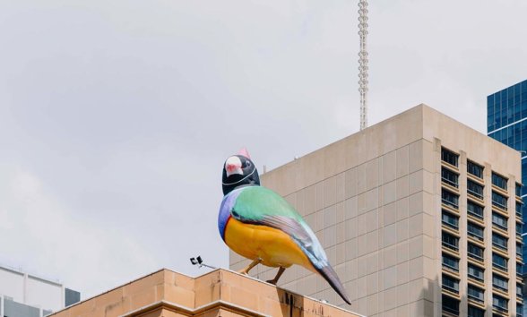 Brisbane Festival_2021