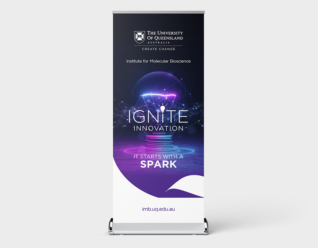 Ignite Innovation awards printed collateral