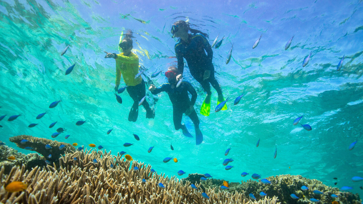 Great Barrier Reef Festival (1) 3
