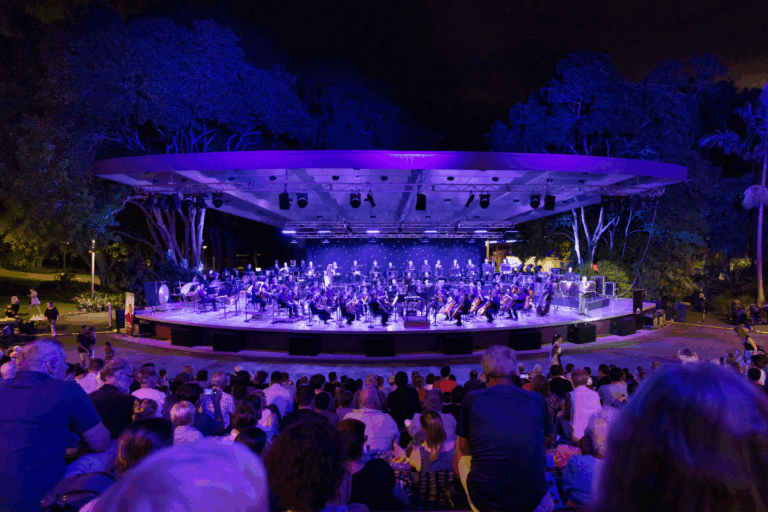 Image of orchestra playing to outdoor audience at night