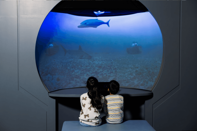 The OceanXperience exhibition at Queensland Museum Kurilpa